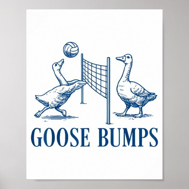 Affiche Volleyball Chair de Poule  (Devant)