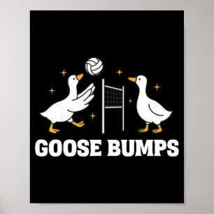 Affiche Volleyball Chair de Poule