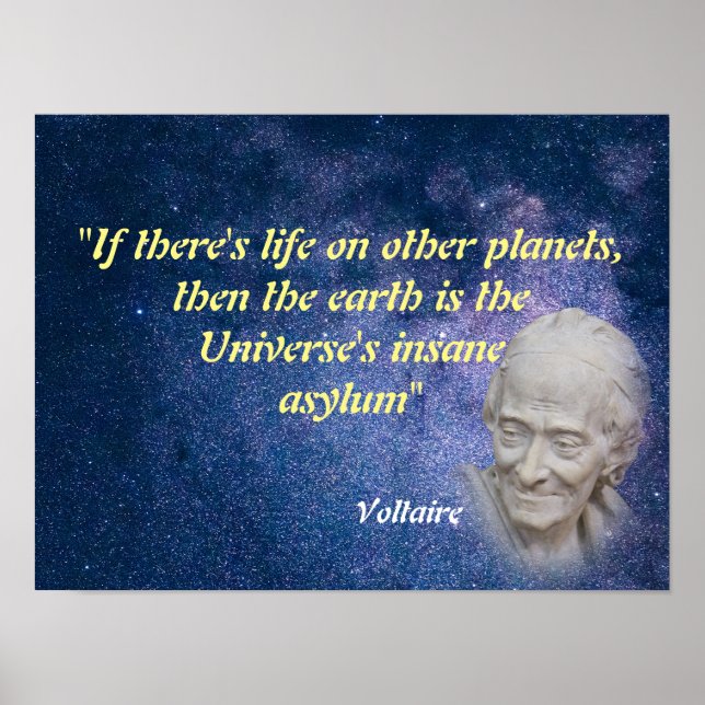 Affiche Voltaire Citation Sur La Vie Sur D'Autres  (Devant)