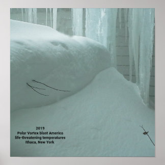 AFFICHE VORTEX POLAIRE ATTEINT ITHACA NEW YORK 2019