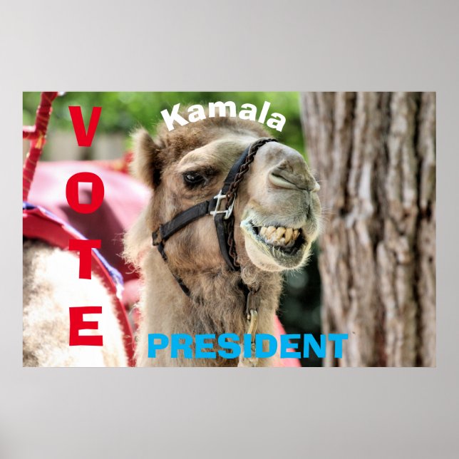 Affiche Vote (Devant)