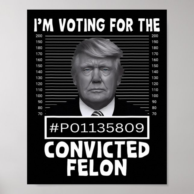 Affiche Vote Pour Le Condamné Felon Trump Mugshot Pro T (Devant)