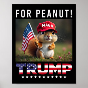 Affiche Votez Trump Pour L'Arachide L'Écureuil Trump 2024