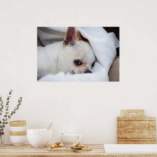Affiche Votre chien animal de compagnie chiot photo person