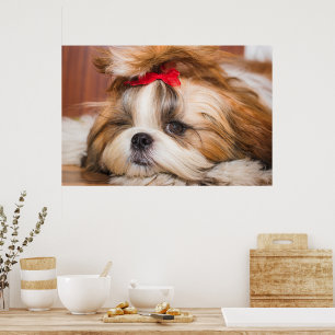 Affiche Votre photo personnalisée de chiot chien de compag
