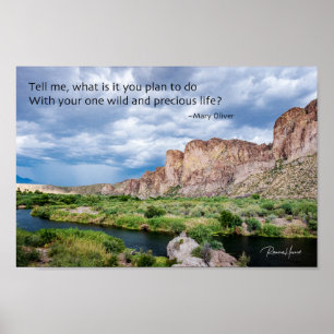 Affiche Votre vie sauvage et précieuse