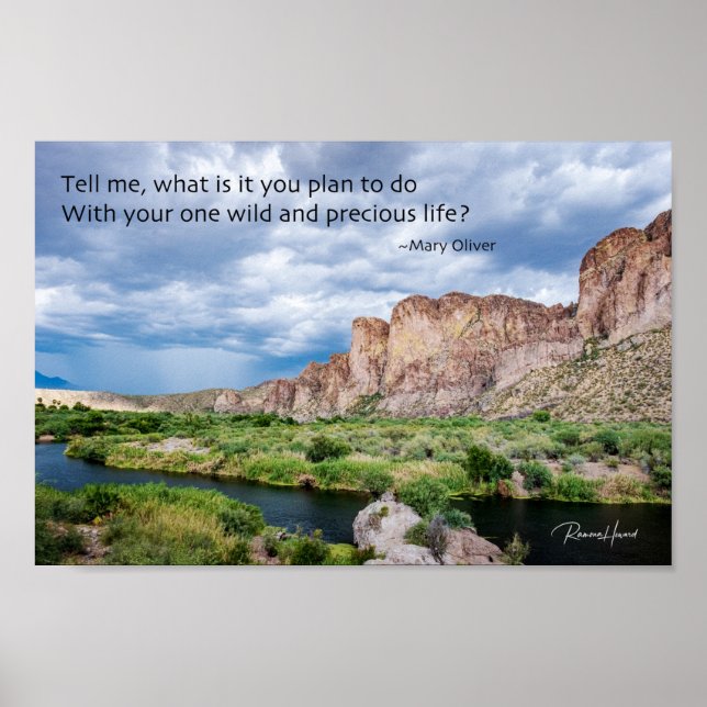 Affiche Votre vie sauvage et précieuse (Devant)