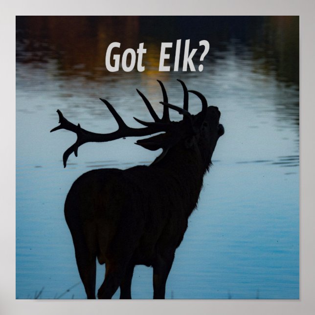 Affiche Vous avez Elk ? Funny Hunter Humour (Devant)