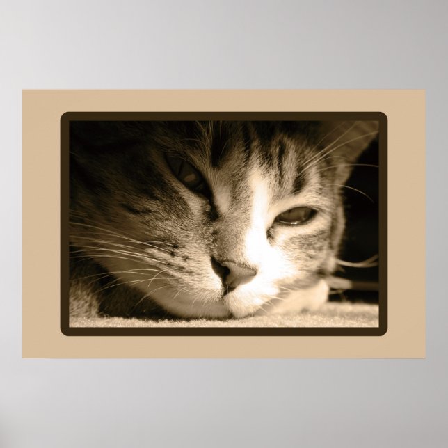 Affiche Vous avez manqué (Devant)