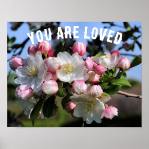 Affiche Vous êtes aimés Blossoms Inspirationnel