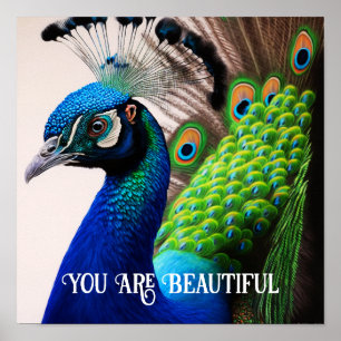 Affiche Vous Êtes Belle Peacock Citation Inspirationnelle