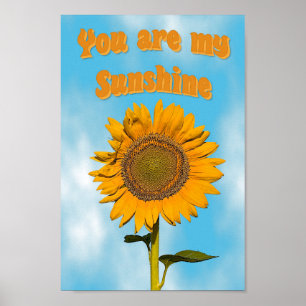 Affiche Vous Êtes Mon Soleil