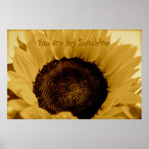 Affiche Vous Êtes Mon Soleil