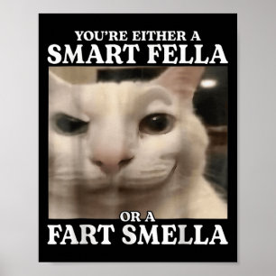 Affiche Vous êtes un Fella intelligent ou un Fart Smella C
