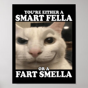Affiche Vous êtes un Fella intelligent ou un Fart Smella d
