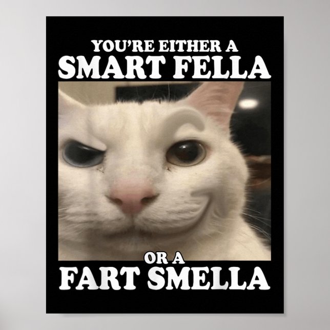 Affiche Vous êtes un Fella intelligent ou un Fart Smella d (Devant)