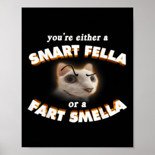 Affiche Vous Êtes Une Fella Intelligente Ou Un Fart Smella