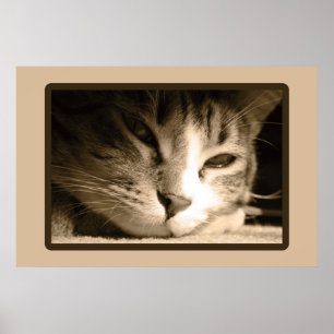 Affiche Vous manquer