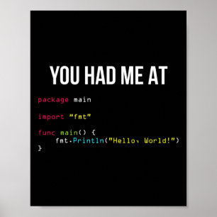 Affiche Vous m'avez eu à Hello World Coding Cool Gaming Ch