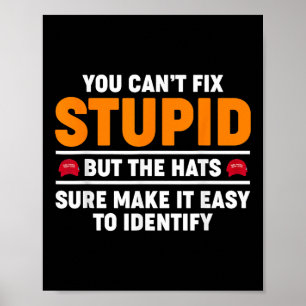 Affiche Vous ne pouvez pas réparer stupide mais les chapea