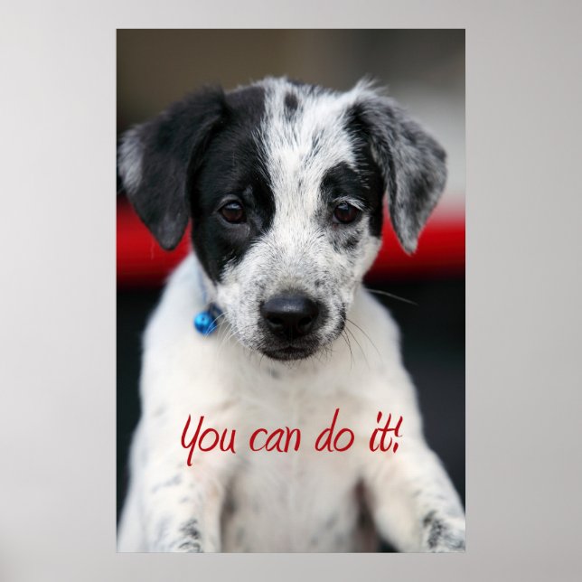 Affiche Vous pouvez le faire ! (Devant)