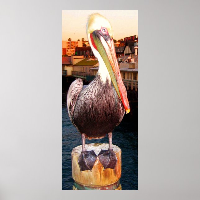 Affiche Vous pouvez le faire_ Affiche_par Elenne (Devant)