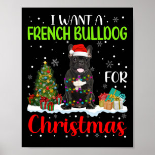 Affiche Vous Voulez Un Chien À Balle Français Pour Noël Co