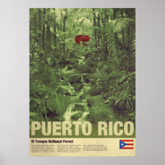 Affiche Voyage à Porto Rico : El Yunque