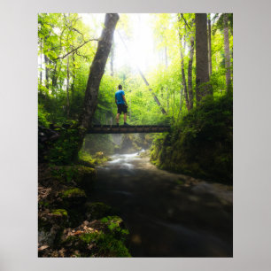 Affiche Voyage à travers la forêt magique