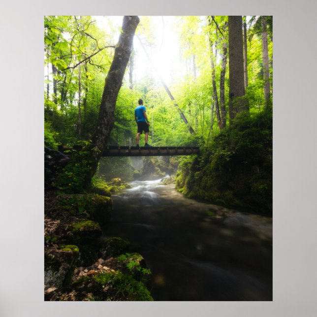 Affiche Voyage à travers la forêt magique (Devant)