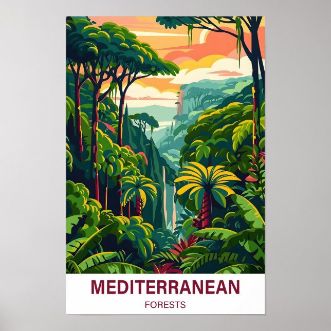 Affiche Voyage d'illustration de la forêt méditerranéenne (Devant)