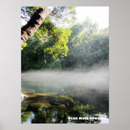 Affiche Voyage | Floride - Blue Hole Springs Foggy Morning