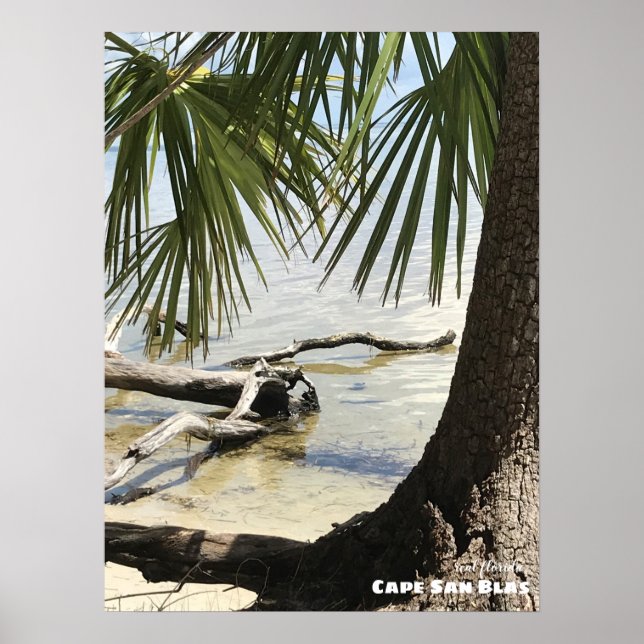 Affiche Voyage | Floride - Cape San Blas Driftwood (Devant)