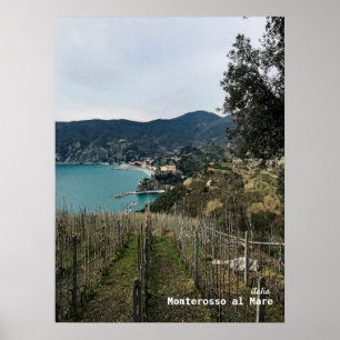 Affiche Voyage   Italie - Monterosso Winter Vineyard