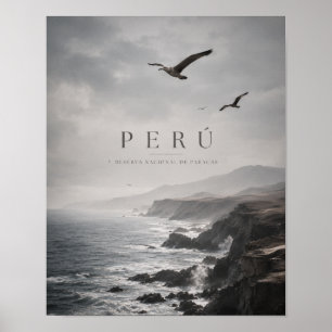 Affiche Voyage sur la côte maussade de Paracas au Pérou