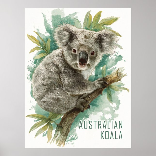 Affiche Voyage vintage Australie Koala (Devant)