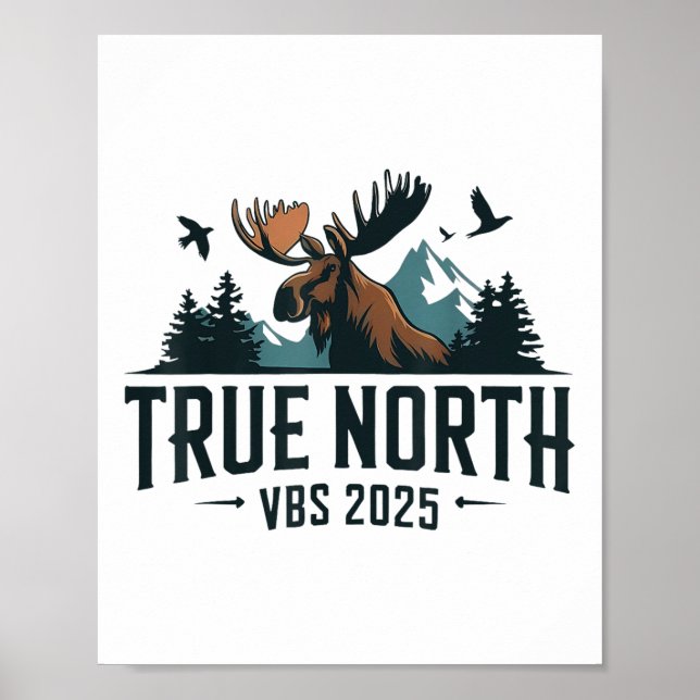 Affiche Vrai Nord Vbs 2025 (Devant)