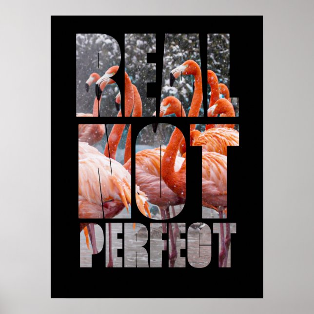 Affiche Vraie Citation Pas Parfaite Flamant rose Oiseaux t (Devant)