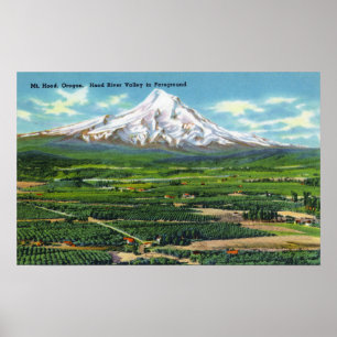 Affiche Vue aérienne de Hood River Valley et Mountain