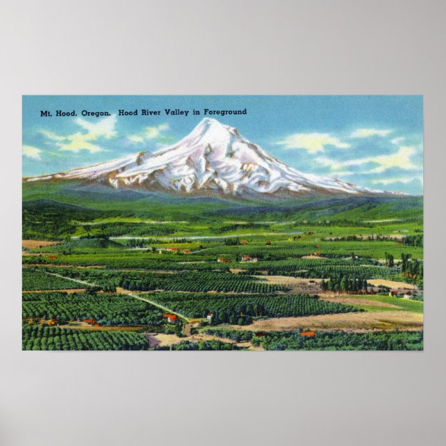 Affiche Vue aérienne de Hood River Valley et Mountain (Devant)