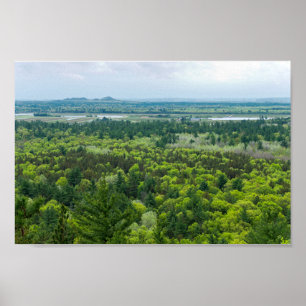 Affiche Vue aérienne de la forêt de Black River State