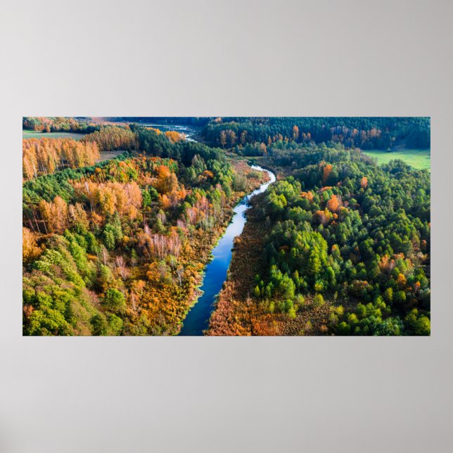 Affiche Vue aérienne de la rivière Winny Forêt ensoleillée (Devant)