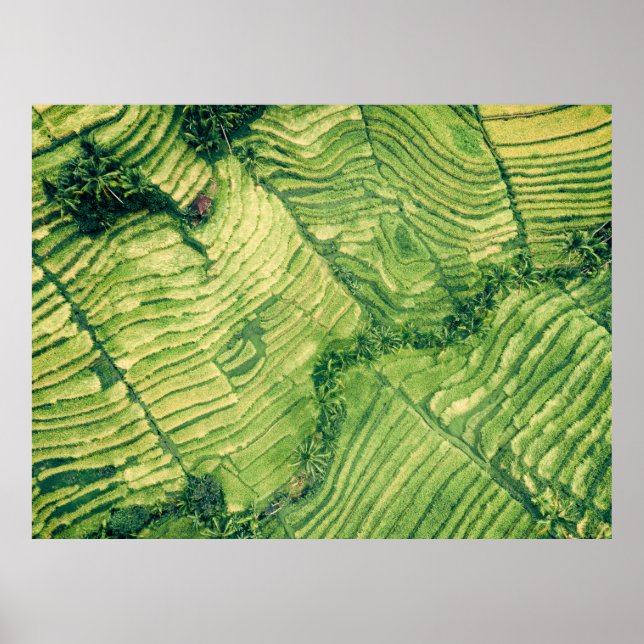 Affiche Vue aérienne du champ vert (Devant)