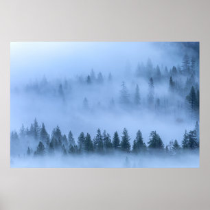 Affiche Vue aérienne paysage forêt dans le brouillard