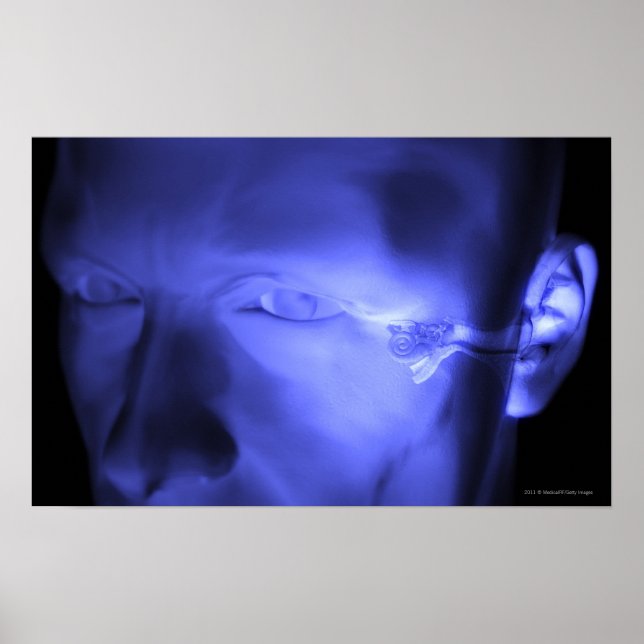 Affiche Vue avant de l'oreille interne (Devant)