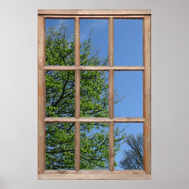 Affiche Vue d'arbre feuillu depuis une fenêtre (Devant)