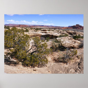 Affiche Vue de Canyonlands depuis le sentier de Cave Sprin