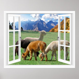 Affiche Vue de la montagne Alpaca Paysage Vue de la fenêtr