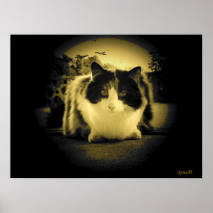 Affiche Vue de la souris