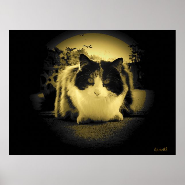 Affiche Vue de la souris (Devant)